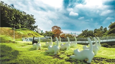 走在云道，看花看展看AR